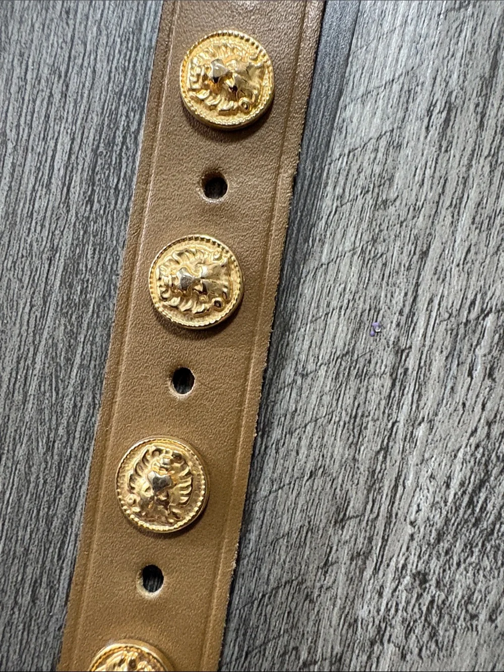 Vintage leather belt The Limited Studded Belt with Gold Hardware